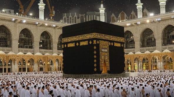 دورة الطوافة وانابة المناسك